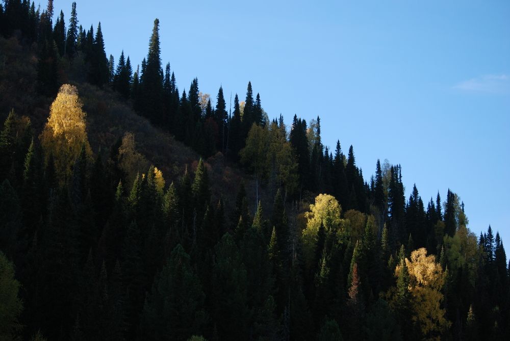 Photograph by Владимир Ильин