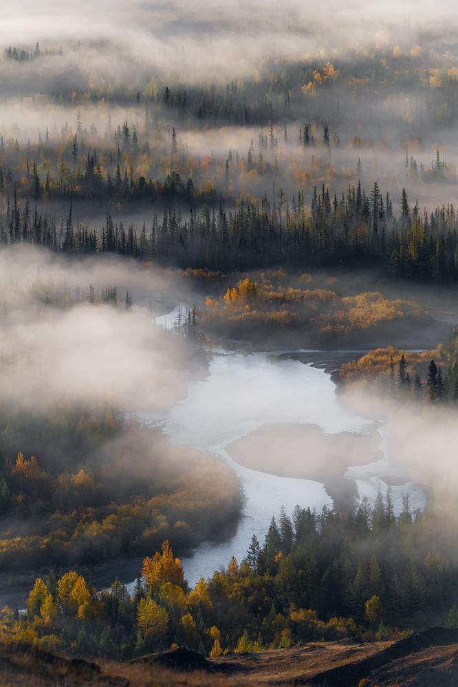 Photograph by Tatiana Meshcheryakova