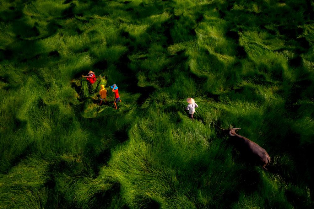 Photograph by Minh Tú Nguyễn