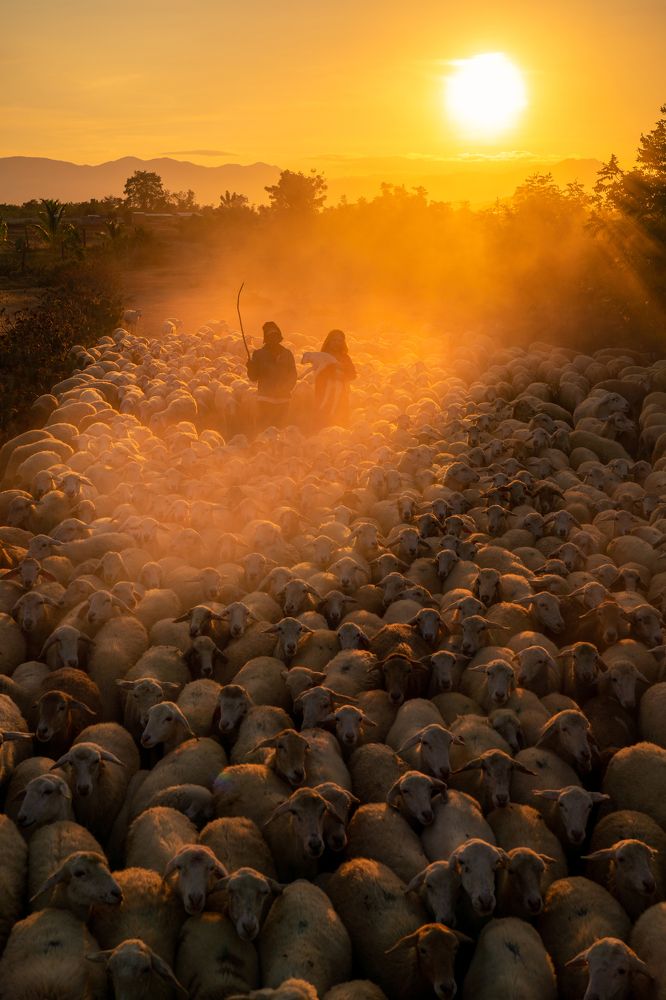 Photograph by Minh Tú Nguyễn