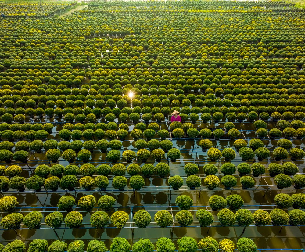 Photograph by Minh Tú Nguyễn