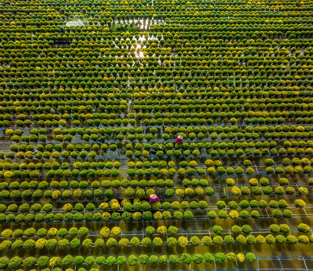 Photograph by Minh Tú Nguyễn