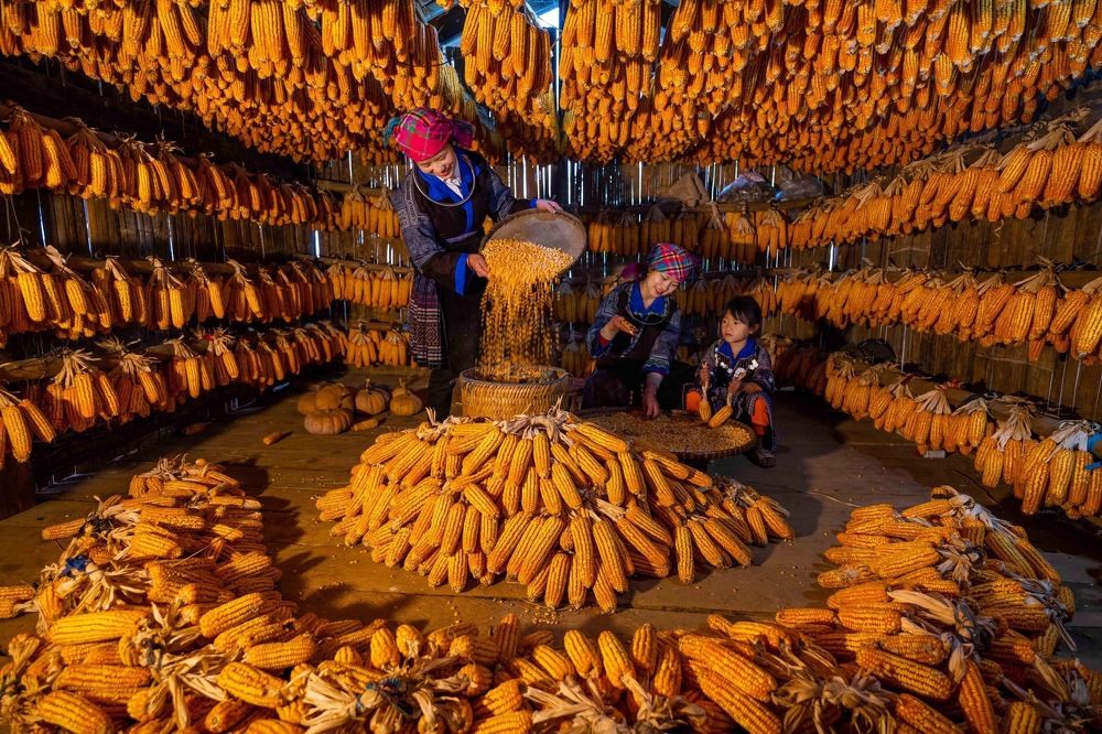 Photograph by Minh Tú Nguyễn