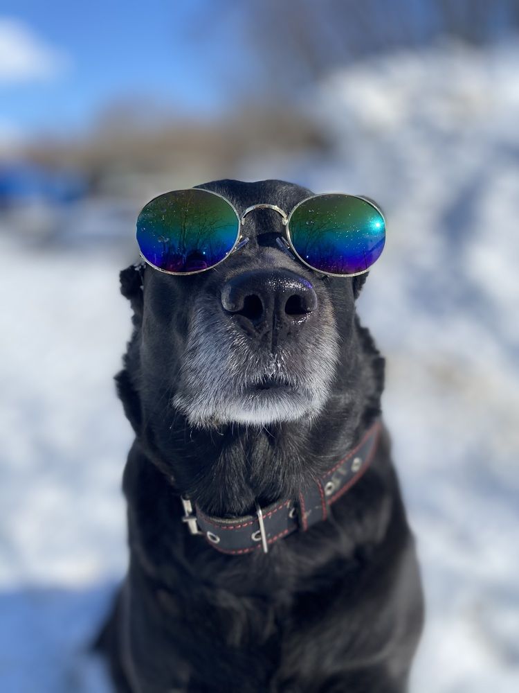 Photograph by Taras Shevchenko