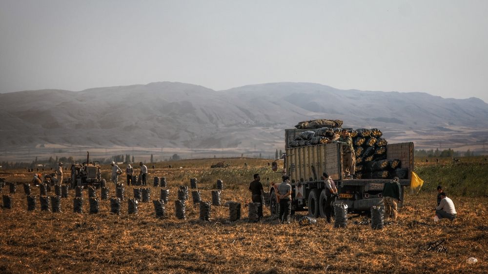 Фотография автора ABOLFAZL MAHMOUDI