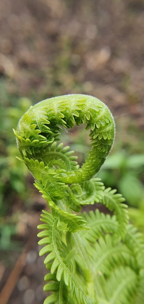 Photograph by Татьяна Мельникова