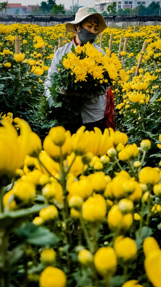 Photograph by Thanh Nguyen