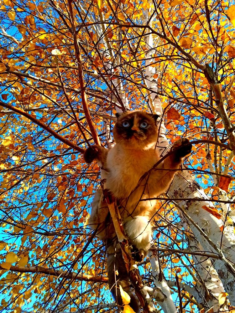 Photograph by Светлана