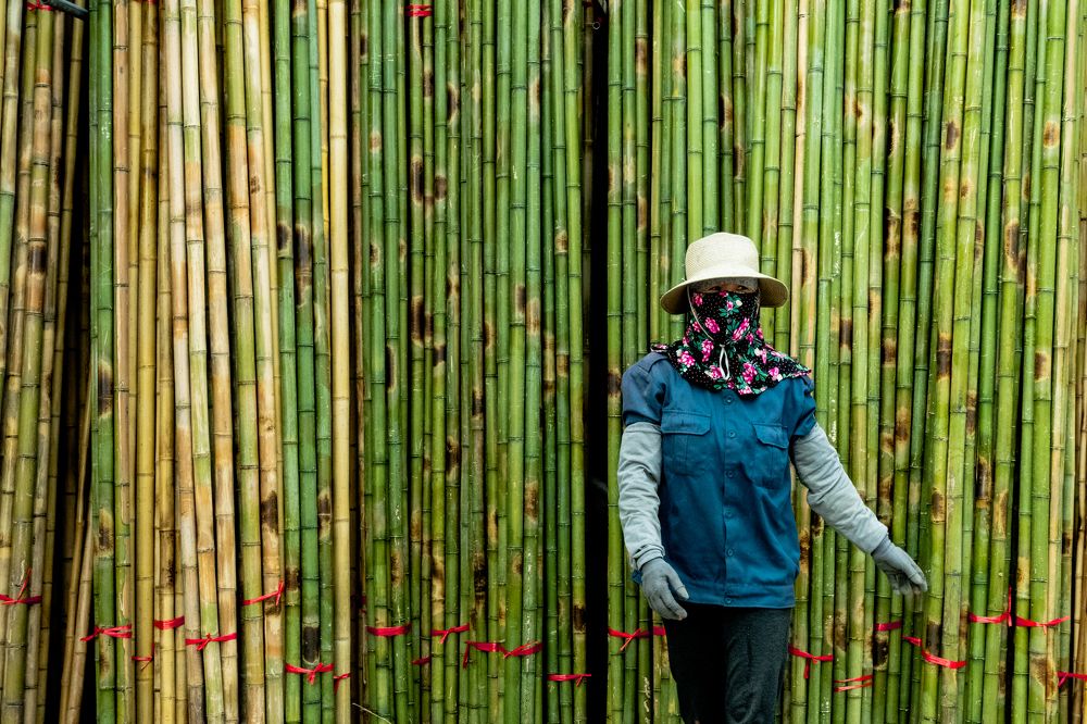 Photograph by Thanh Nguyen