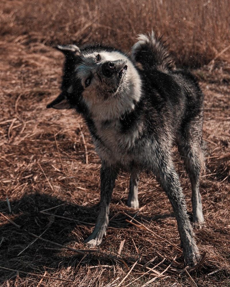 Photograph by Оксана Шевченко