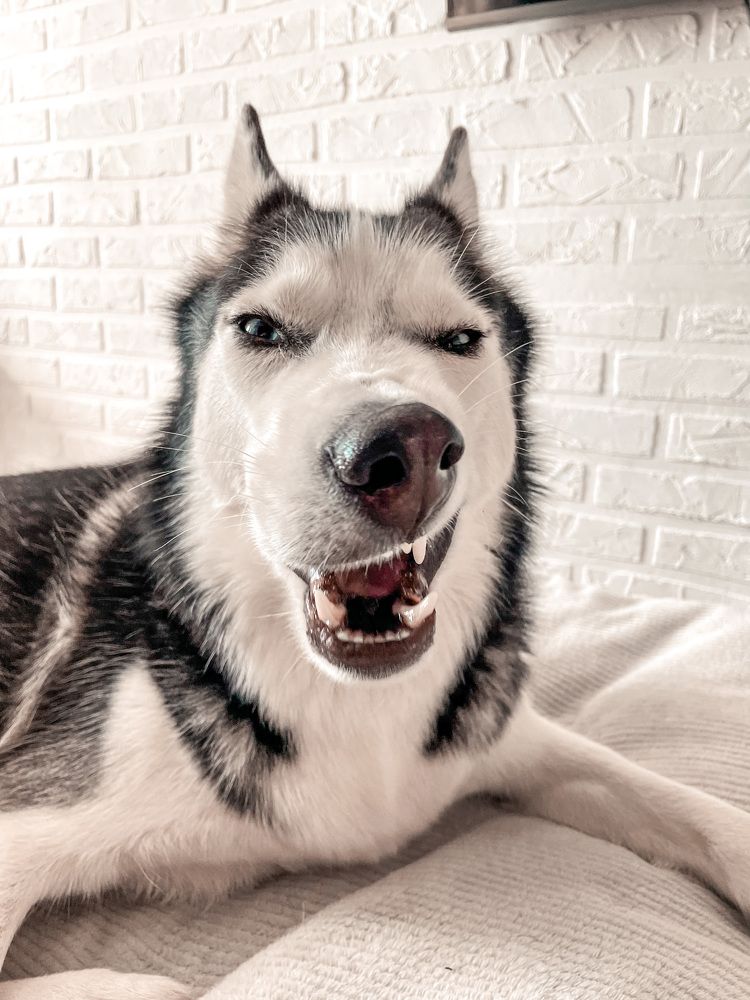 Хьюстон у которого нет проблем