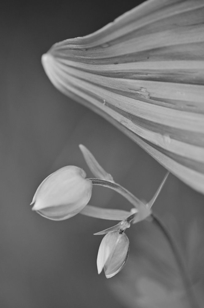 Photograph by Светлана Андреева