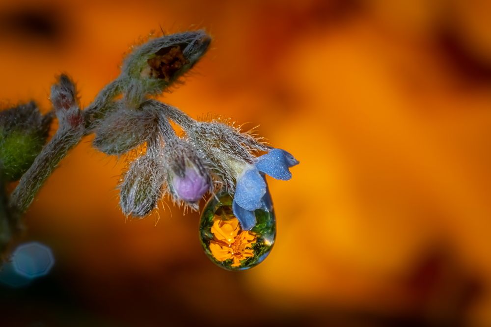 Photograph by Николай Фонарёв