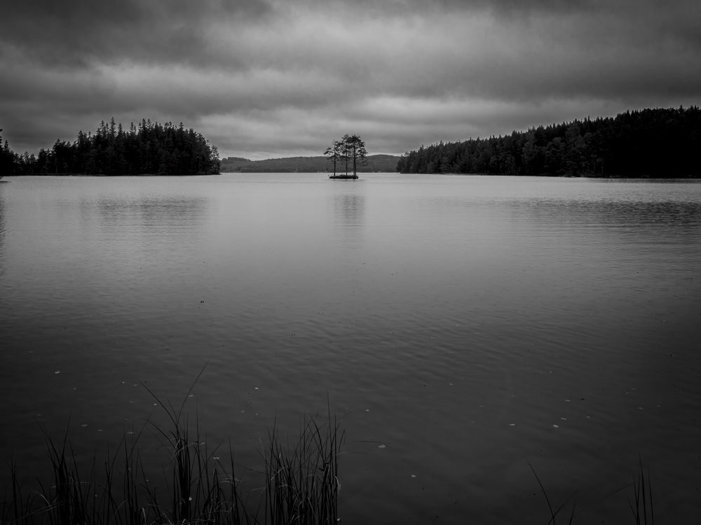 Фотография автора Erik Nelson