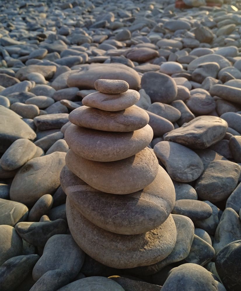 Photo #9666303