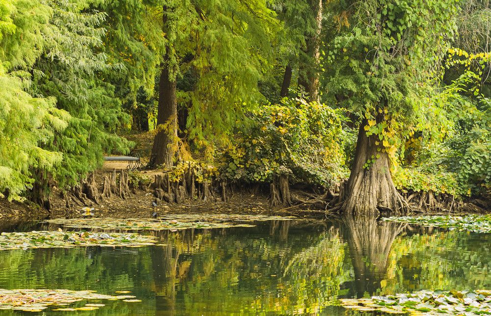 Photograph by Альмира Амирова