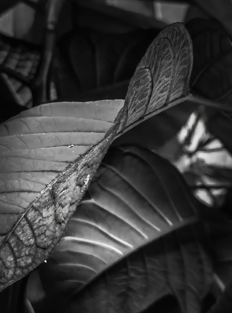 Фотография автора Bernadette Pretorius