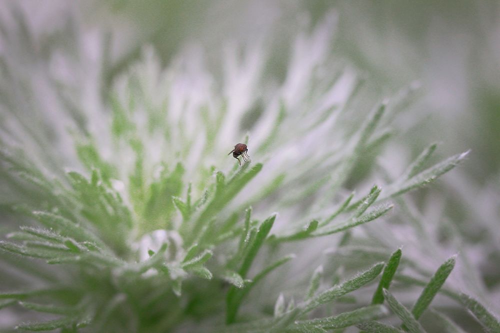 Photograph by Наталья Островцева