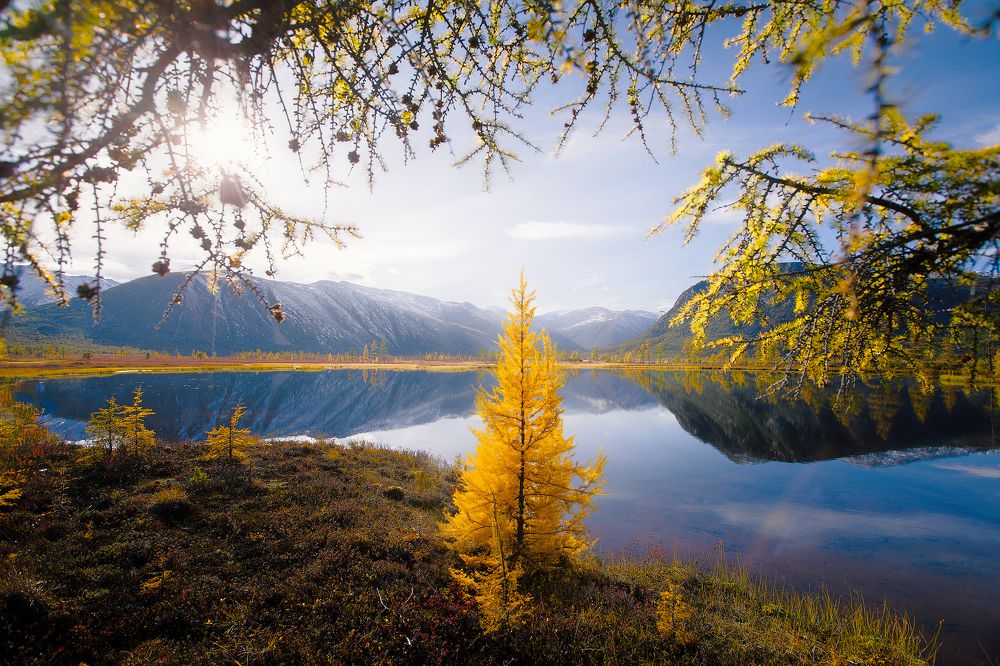 Photograph by Кочкин Владимир