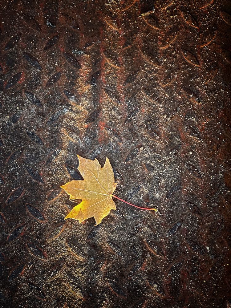 Photograph by Наталья Сережко