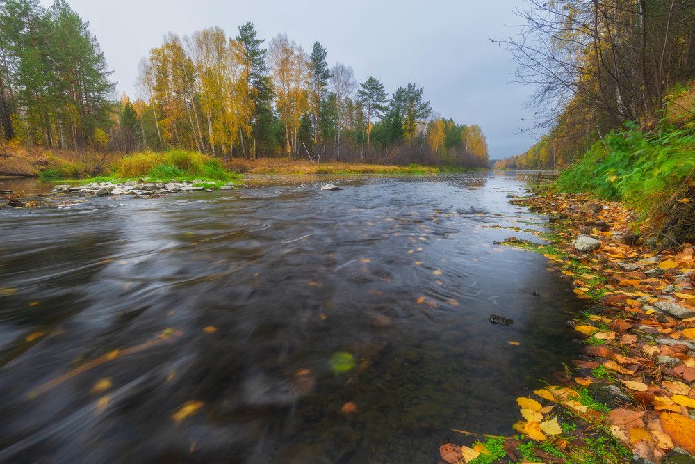Photograph by Дмитрий Шадрин