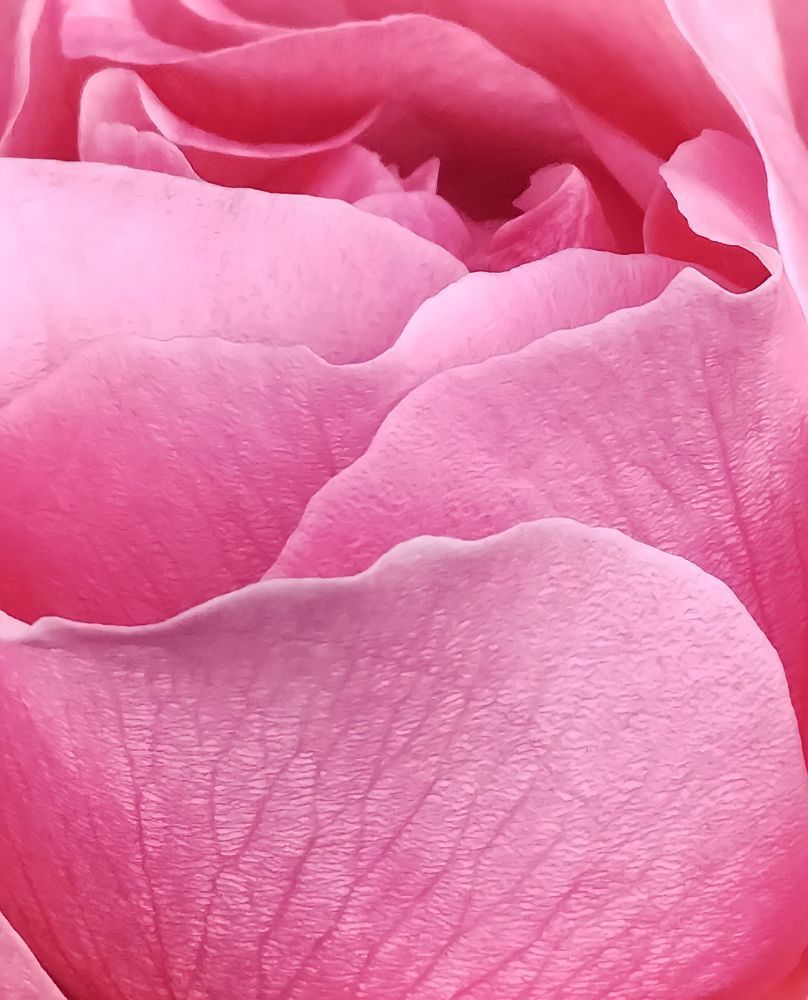 Фотография автора Bernadette Pretorius