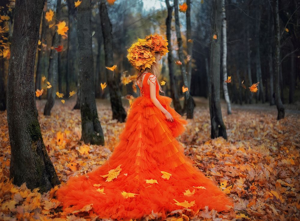 Фотография автора Vyacheslav Lozhkin