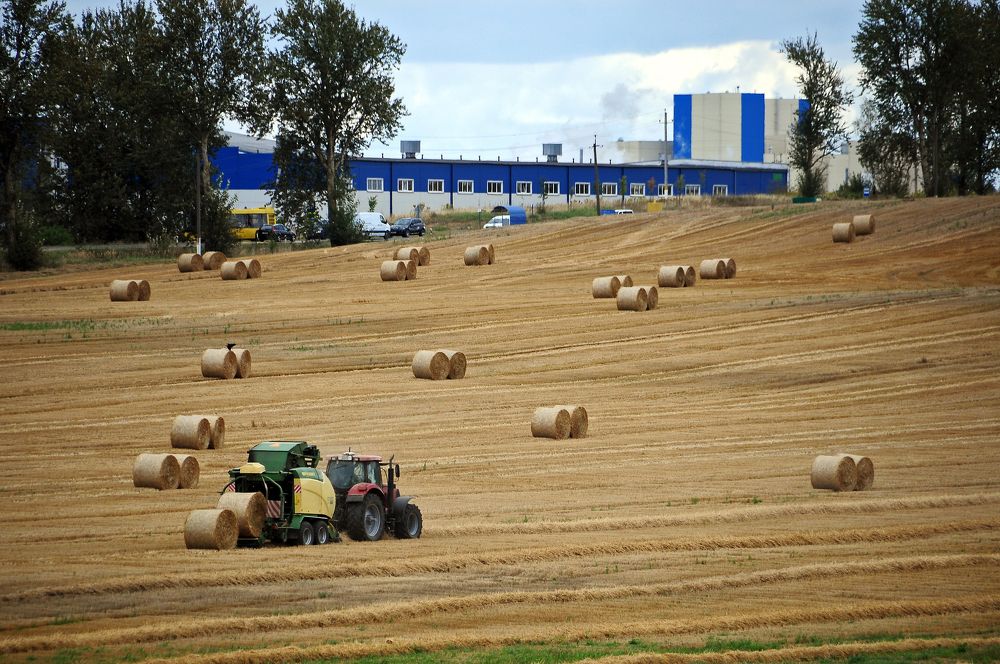 Фотография автора Антип