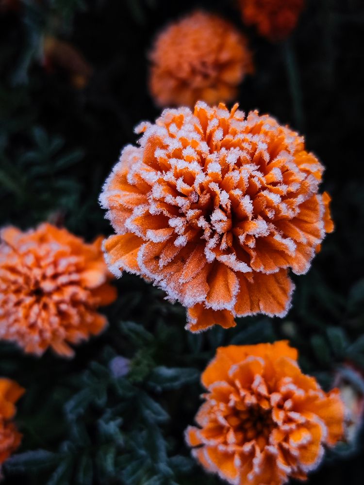 Фотография автора Алёна Подгорная