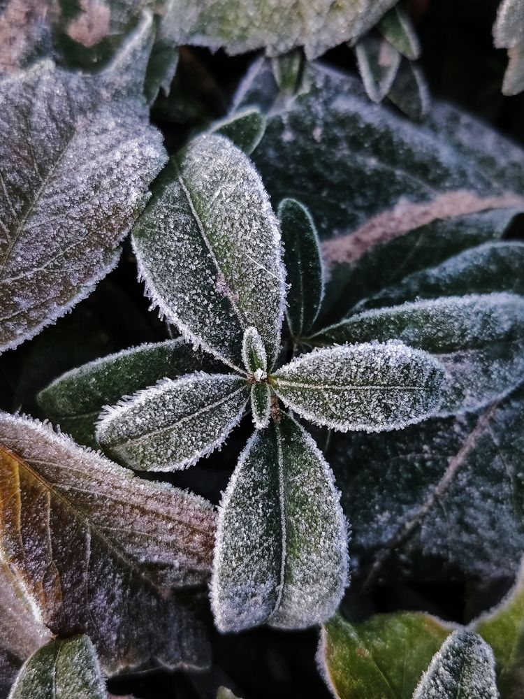 Фотография автора Алёна Подгорная