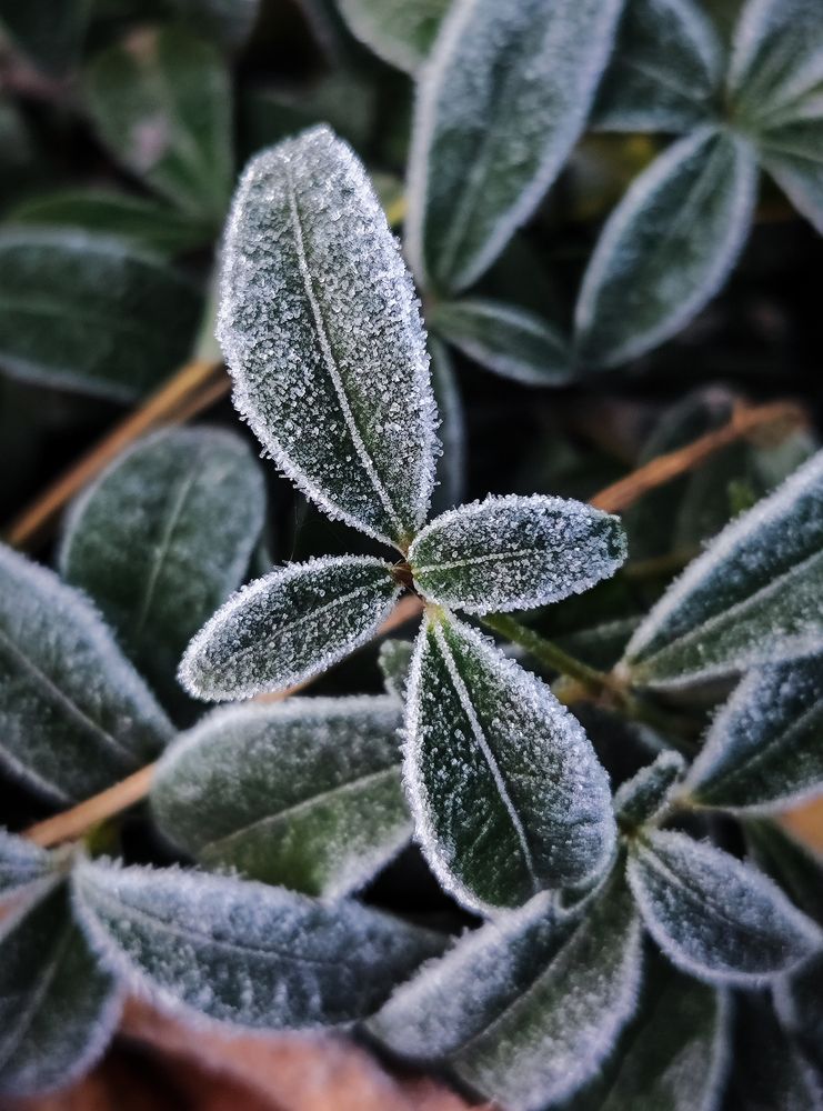 Фотография автора Алёна Подгорная