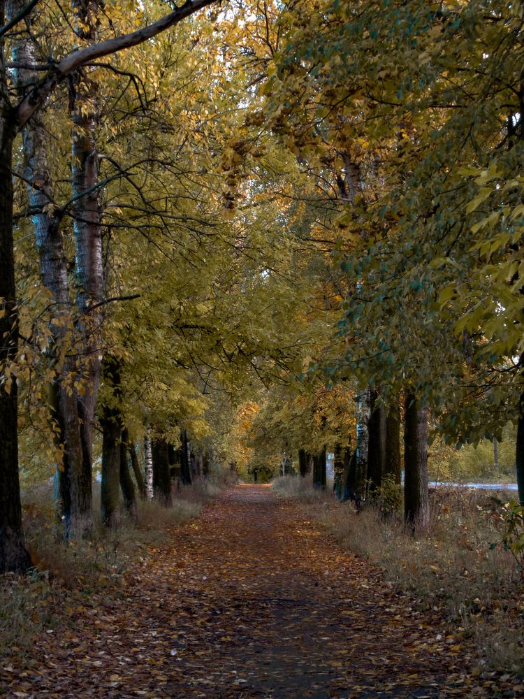 Photograph by Игорь Максимов