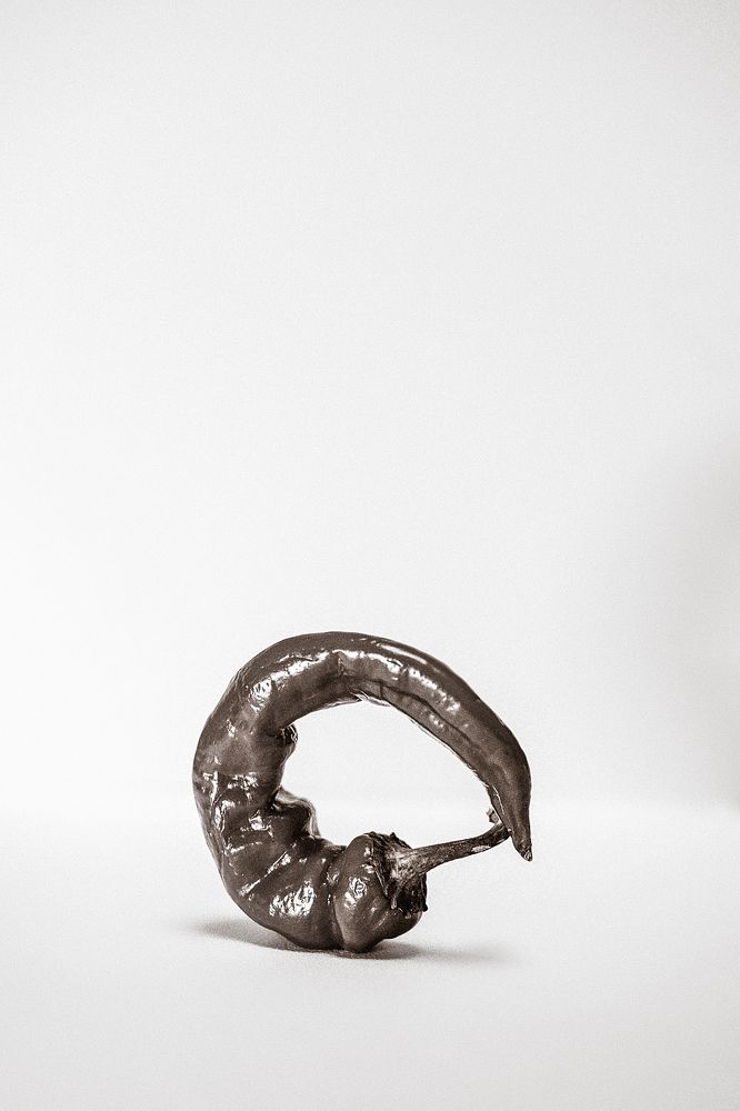 Photograph by Uliya Krakos