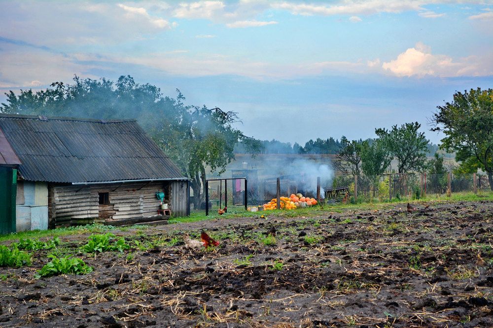 Осенний дым.