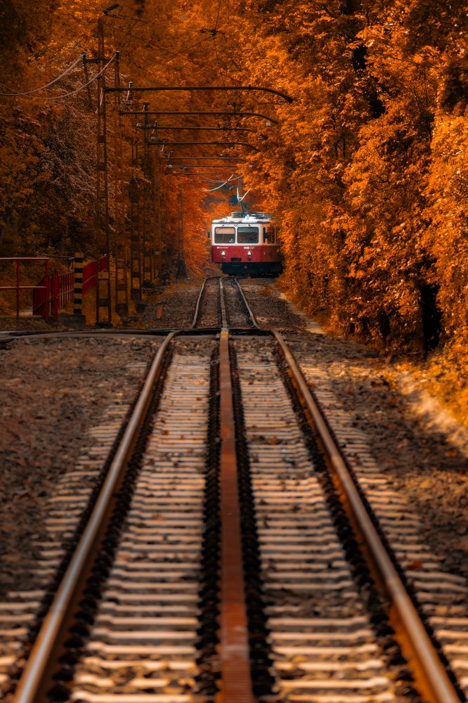 Budapest HÉV Train: Autumn Journey Through the Fores