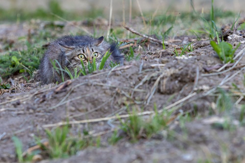 Photograph by Константин Чижов