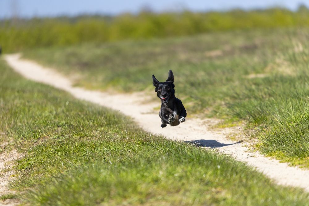 Photograph by Константин Чижов