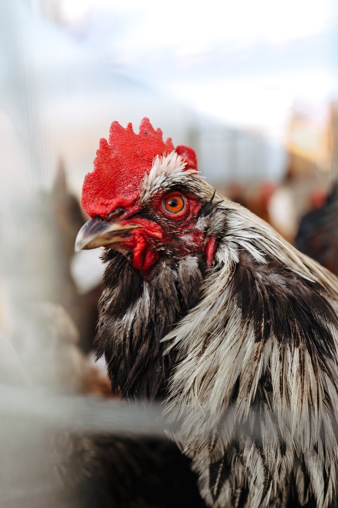 Photograph by Ольга Носкова