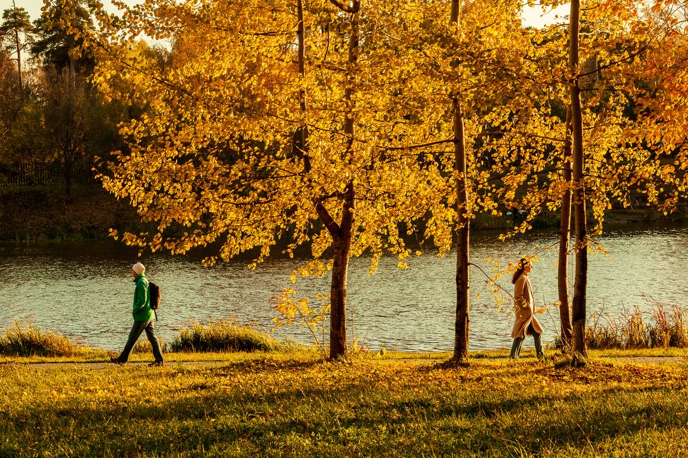 Photograph by Татьяна Макотра