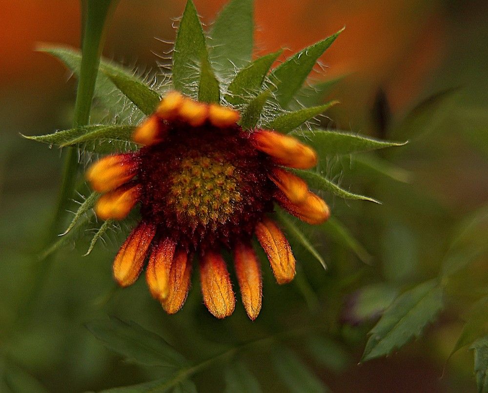 Photograph by Елена Одынец