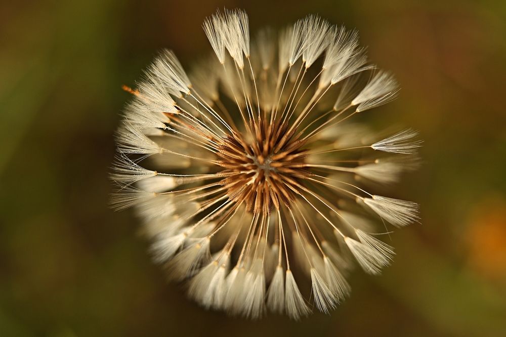 Photograph by Елена Одынец