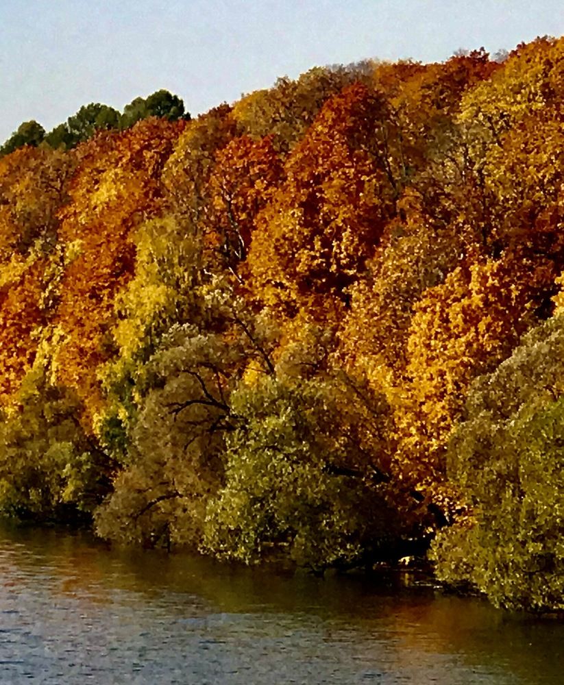 Photograph by Наталья Дмитриева