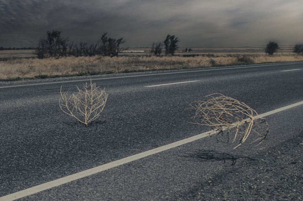 Photograph by Альфия Агзамова