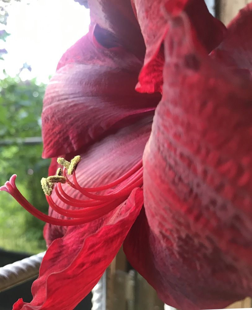 Photograph by Наталья Дмитриева