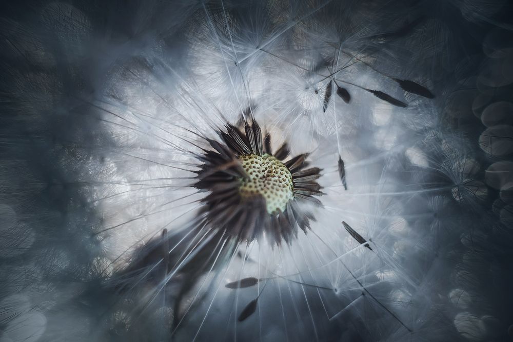 Photograph by Сальников Евгений