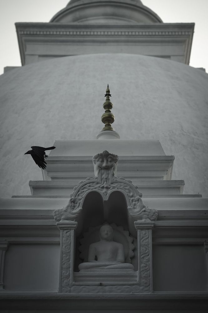 Фотография автора U Rasta G Bandaragoda