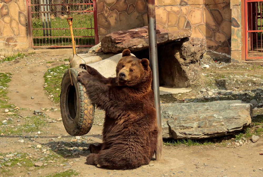 Photograph by Ирина Шибитова