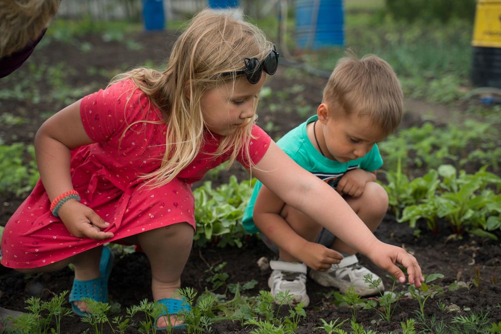 Photograph by Юлия