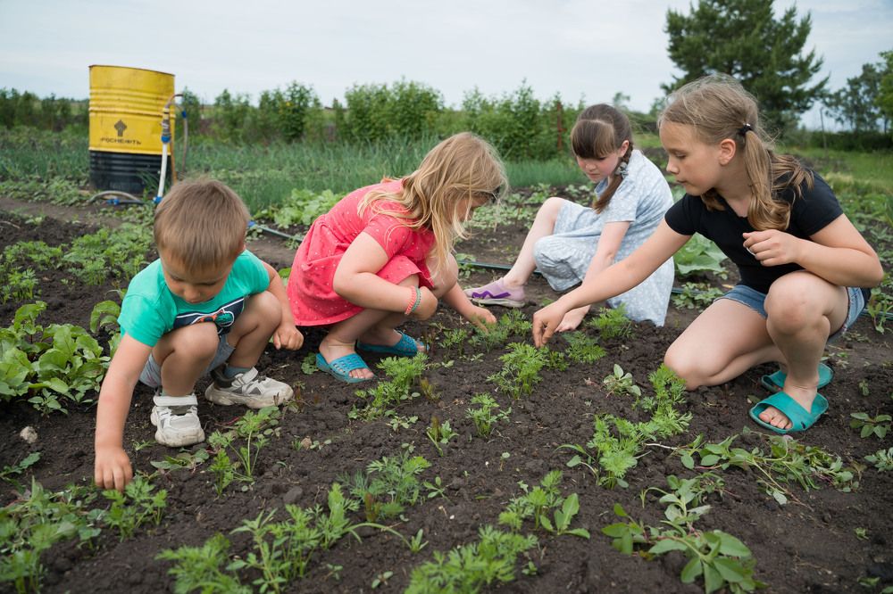 Photograph by Юлия