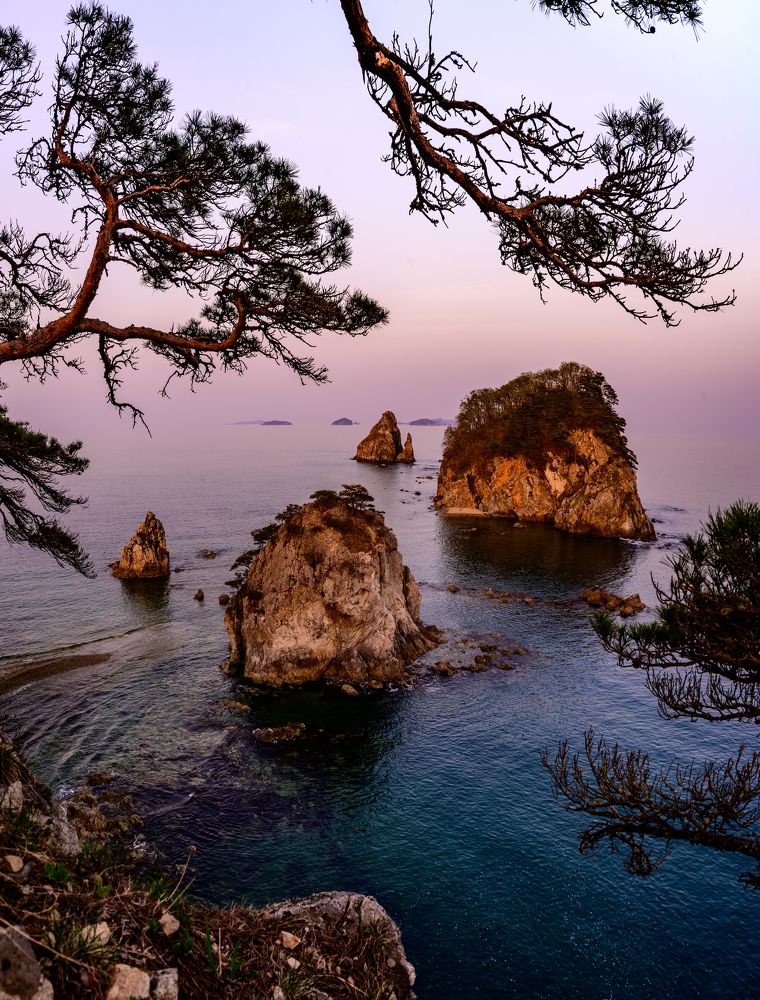 Photograph by Karasev Pavel